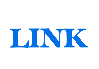 The Adventure of Link